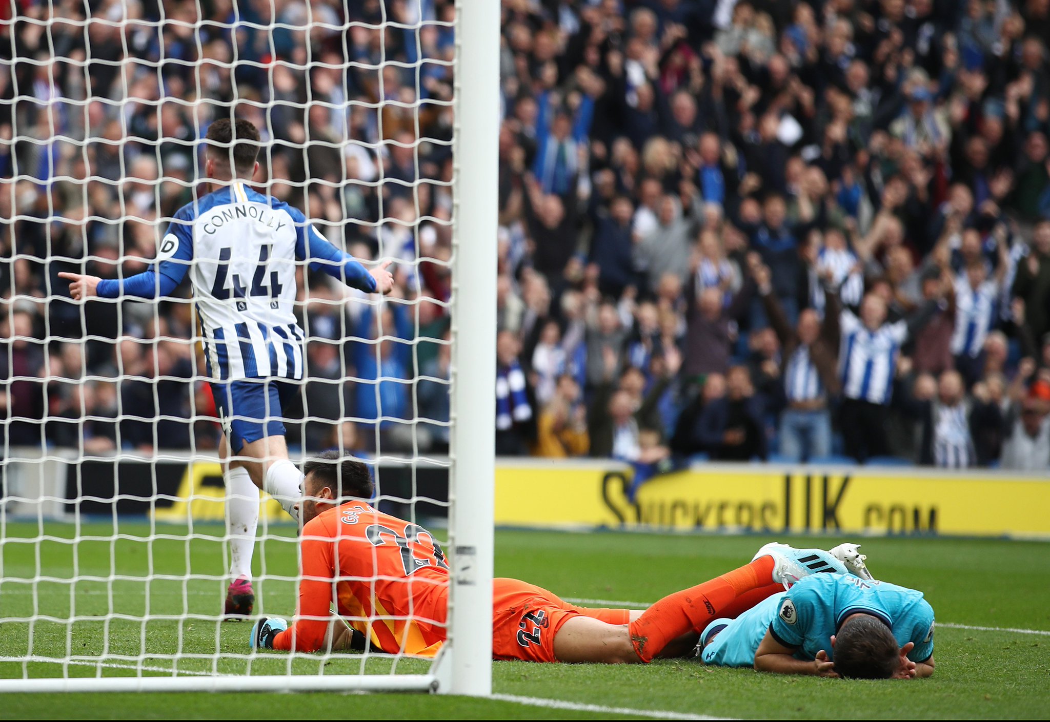 他们以快速 他们以快速